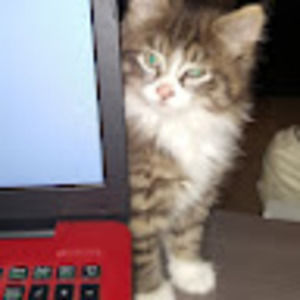 Meet your Posher, Marie  a